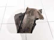 Radhausschale - Vorne Rechts Jaguar XF, X250 2008.01 - 2012.01 8x23166562ae,8x23-166562-ae