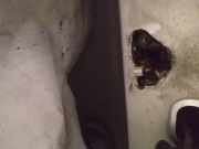 T?rfangband T?rbremse T?rstopper - Vorne Linke Citroen C8, I 2002.07 - 2008.06 Gebraucht,