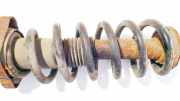 Fahrwerksfeder Hinterachse Dodge Journey. 2009.01 - 2014.12 Gebraucht,