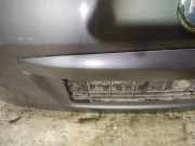 Kennzeichenleuchte Fiat Sedici 2005 - 2009 Gebraucht,