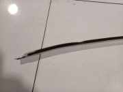 Zierleiste Leiste - Vorne Rechts Honda Accord, 2003.02 - 2005.09 Gebraucht ,