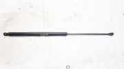 Gasdruckfeder Kofferraum Renault Koleos, I 2007.01 - 2011.06 90450jy00a,