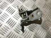 T?rscharnier Vorne Renault Laguna, II 2001.03 - 2006.05 Gebraucht,