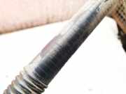 K?hlmittelrohrleitung Tesla Model Y, 2020 --> 163159500b,1631595-00-b