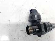 Einspritzdüse Volkswagen Passat, B5+ 2000.11 - 2005.05 038130073BC, BGW