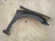 Kotfl?gel - Vorne Rechts Honda Insight, II 2009.01 - 2011.12 juodas,