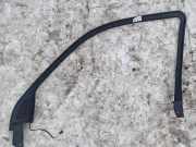 Schutzleiste Tür - Vorne Rechts BMW X5, E53 facelift 2004 - 2006 8402508rh,