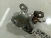 T?rscharnier Vorne Renault Laguna, I 1994.01 - 2001.03 Gebraucht,