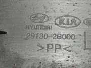 Unterfahrschutz Hyundai Santa Fe, 2006.03 - 2012.09 291302B000,29130-2B000