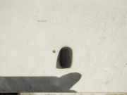 Waschwasserdüse Scheibenreinigung Ford Focus, 1998.10 - 2002.10 Gebraucht,