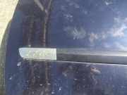 Zierleiste Tür Zier-Schutzleiste - Vorne Linke Renault Vel Satis, 2002.06 - 2009.12 Gebraucht,