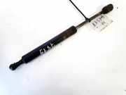 Gasdruckfeder Kofferraum SAAB 9-5, 1997.09 - 2005.11 7118lj0550n,