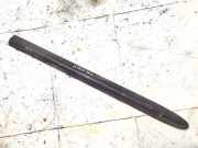 Zierleiste Tür Zier-Schutzleiste - Hinten Rechts Chrysler Voyager, IV 2000.02 - 2008.12 110009b,