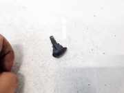 Waschwasserdüse Scheibenreinigung Nissan X-Trail, 2001.06 - 2007.06 Gebraucht,