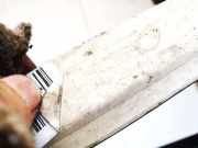 Halteband Kraftstoffbehälter Volkswagen Polo, IV 2005.04 - 2009.11 facelift 6q0201655, BWB