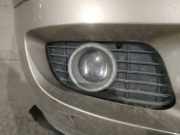 Kühlergrill - Vorne Rechts Mercedes-Benz A-CLASS, W169, 2004.09 - 2008.09 Gebraucht,