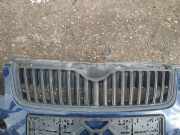 Kühlergrill Frontgrill Kühlergitter Skoda Fabia, II 5J 2010.06 - 2014.06 facelift Gebraucht,