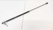 Gasdruckfeder Kofferraum Audi A4, B5 1994.11 - 1999.09 Gebraucht,