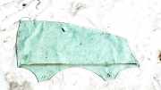 Seitenscheibe - Vorne Rechts Ford Focus, 2011.04 - 2018 F1EBA21410A,F1EBA21410A