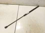 Gasdruckfeder Kofferraum Ford C-MAX, 2007.06 - 2010.12 3m51r406a10ab,