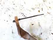 Stabilisator Stabi Hinten Hinterachse Audi A6, C6 2005.01 - 2008.10 Gebraucht,