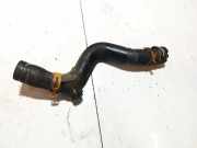 Kühlerschlauch Renault Scenic, II 2003.06 - 2006.06 Gebraucht,