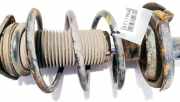 Fahrwerksfeder vorne Mazda 3, BK 2003.10 - 2009.06 Gebraucht,