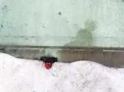 Seitenscheibe - Vorne Linke Toyota Avensis Verso, 2001.08 - 2009.11 Gebraucht,