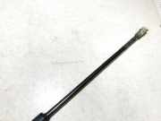 Gasdruckfeder Kofferraum Fiat Brava, 1995.10 - 2002.12 46420780,