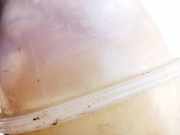 Ausgleichsbehälter Opel Vectra, B 1995.09 - 2000.09 90499809, 0049973 90467473