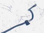 Stabilisator Vorne Nissan Qashqai, I 2006.01 - 2010.06 Gebraucht ,