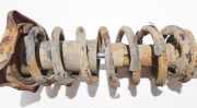 Fahrwerksfeder Hinterachse Audi A6, C4 1994.06 - 1997.10 Gebraucht,