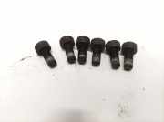 Schwungradschraube Citroen C5, II 2008.02 - 2011.01 Gebraucht,