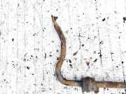 Stabilisator Vorne Peugeot 307, 2000.08 - 2005.06 Gebraucht,