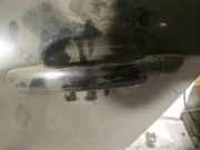 Türgriff Türaussengriff - Hinten Linke Volkswagen Phaeton, 2007 - 2011 facelift Gebraucht, CEXA