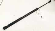Gasdruckfeder Kofferraum Volkswagen Tiguan, 2007.09 - 2012.06 8153517,8153517