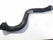 Intercooler Schlauch Renault Scenic, II 2003.06 - 2006.06 Gebraucht,