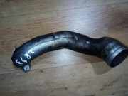 Intercooler Schlauch Nissan Almera, N16 2000.06 - 2003.01 14460bn310,