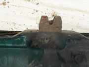 Heckklappe Heckklappenschloss Kofferraumschloss BMW 3-Series, E36 1990.09 - 1998.02 Gebraucht,