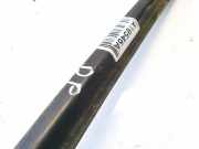 Zierleiste Leiste - Vorne Rechts Fiat scudo 1997 - 2007 Gebraucht,