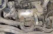 Abgaskühler AGR-Kühler Peugeot 307, 2005.06 - 2008.06 9646762280,
