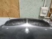 Kühlergrill Frontgrill Kühlergitter BMW 7-Series, E65 E66 E67 E68 2001.11 - 2008.06 Gebraucht,