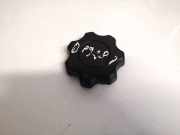 Innenausstattung Nissan Primera, P12 2002.01 - 2008.12 pg05,