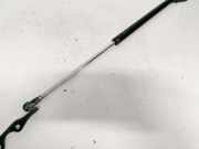 Gasfeder für Motorhaube Toyota Yaris, I (XP10) 1999.04 - 2003.03 Gebraucht,