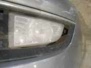 Nebelscheinwerfer - Vorne Rechts Opel Insignia A, 2008.01 - 2013.01 Gebraucht,