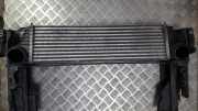 Ladeluftkühler BMW 5-Series, F07F10 F11 2010.03 - 2016.12 1751780562906,17517805629-06 R7368003