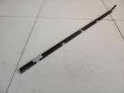 Zierleiste Leiste - Vorne Linke Nissan Qashqai, I 2006.01 - 2010.06 Gebraucht,