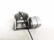 Türscharnier Hinten Renault Scenic, II 2003.06 - 2006.06 Gebraucht,