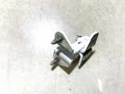 Türscharnier Hinten Tesla Model 3, 2017.01 - 2023 Gebraucht,