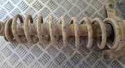 Fahrwerksfeder Hinterachse Audi 80, B4 1991.09 - 1995.01 Gebraucht,